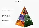 Wild-Impulse-notes-naseem.webp