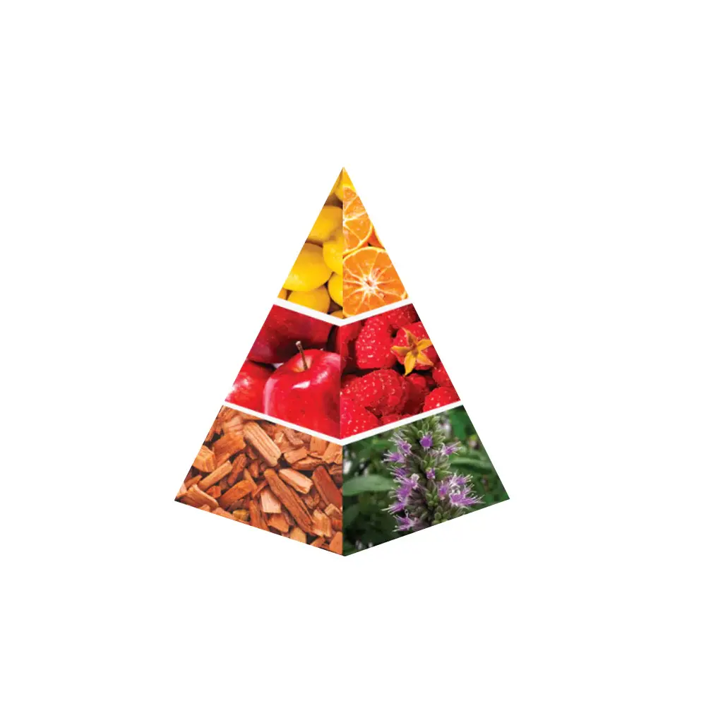 MONSEIUR_IND.webp