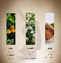 61TNQVKxPIL._SL1080_.webp