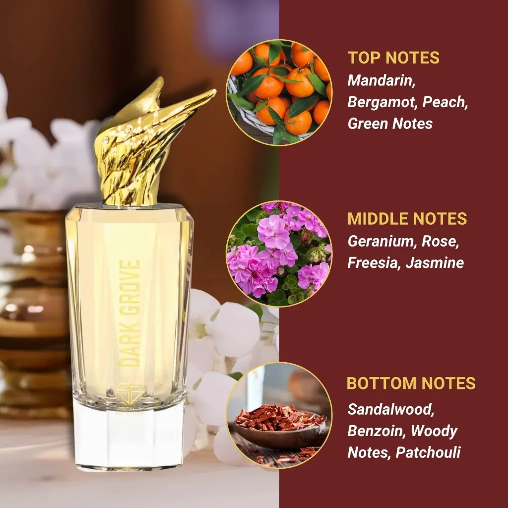 dark-grove-perfume-for-men-perfume-dark-grove-perfume-for-men-48196056187179.webp