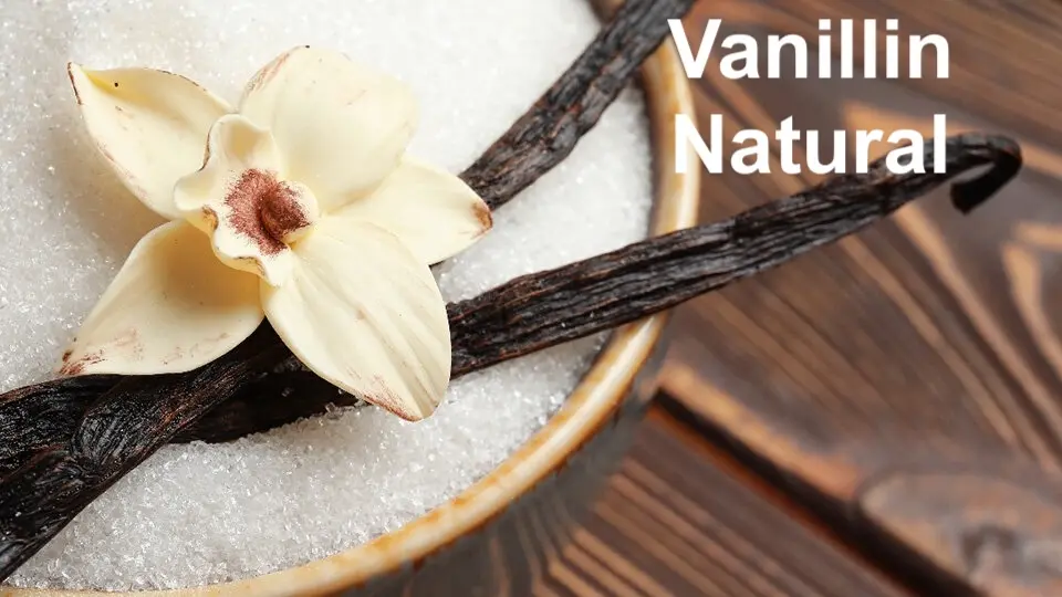 Vanillin ex. Clove, Natural 10 grams 10% DPG الفانيليا الطبيعية تركيز 10%