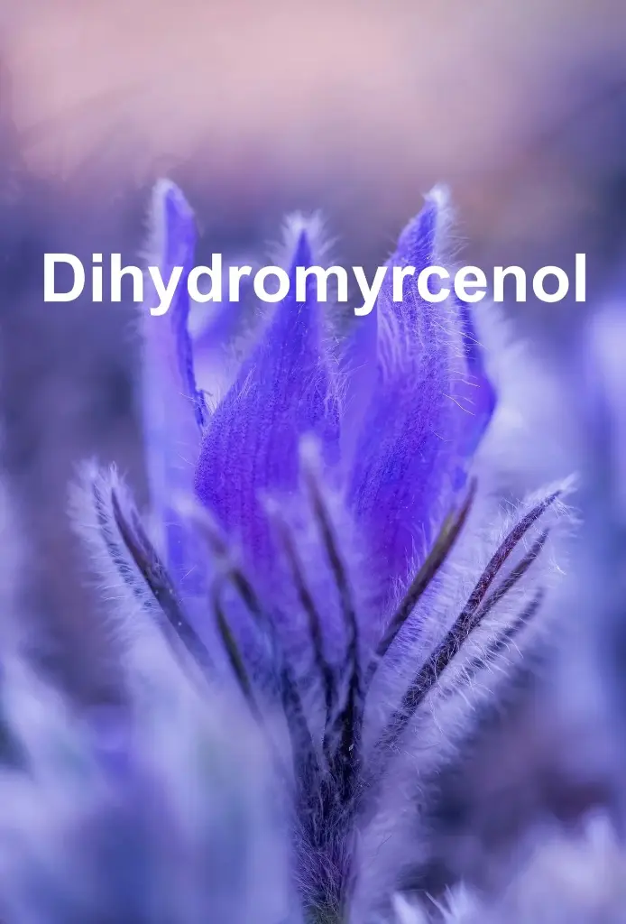 Dihydromyrcenol 10 grams