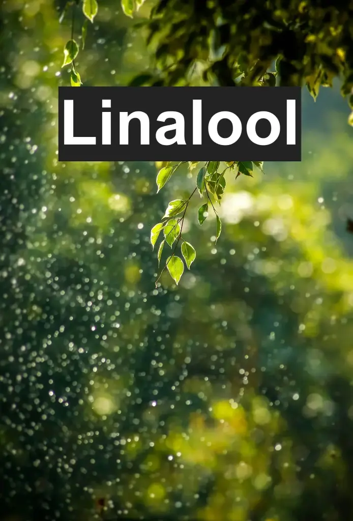 Linalool 5 grams
