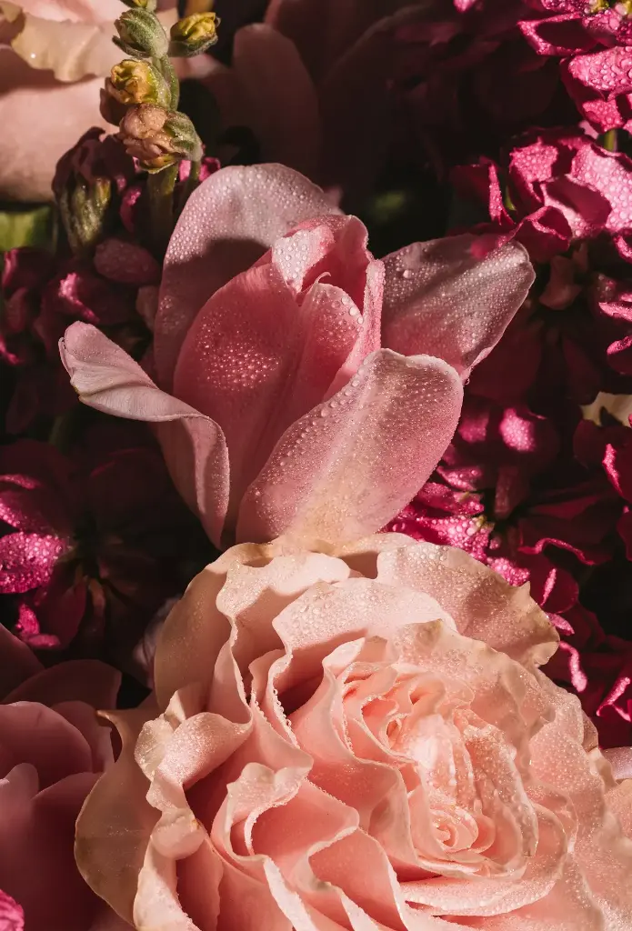 Citronellol 98 - 10g