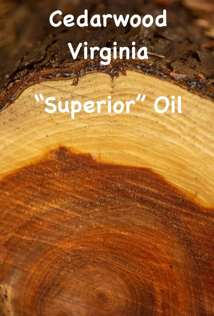 Cedarwood Virginia “Superior” Oil - 10g -