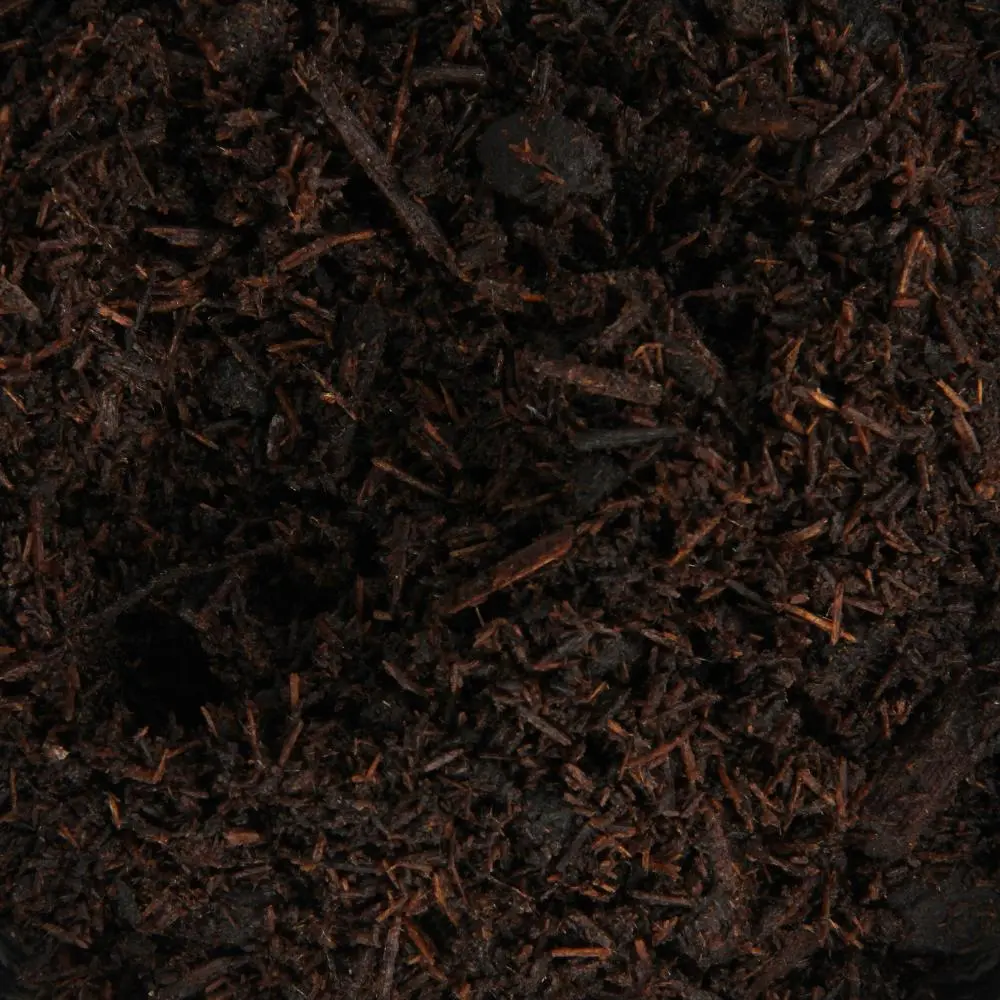 مبثوث القصور الفاخر - 50 جرام