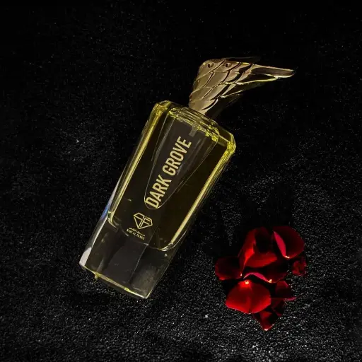 Dark Grove 100ml - عطر دارك قروف