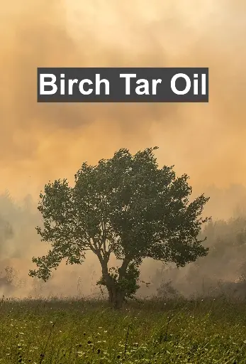 Birch Tar Oil, Rectified 1 Gram (10% in TEC) نوتة دخانية قوية جدا