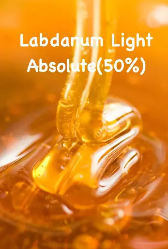 Labdanum  Absolute Super Premium - 50% - 5g -