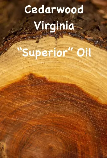 Cedarwood Virginia “Superior” Oil - 10g -